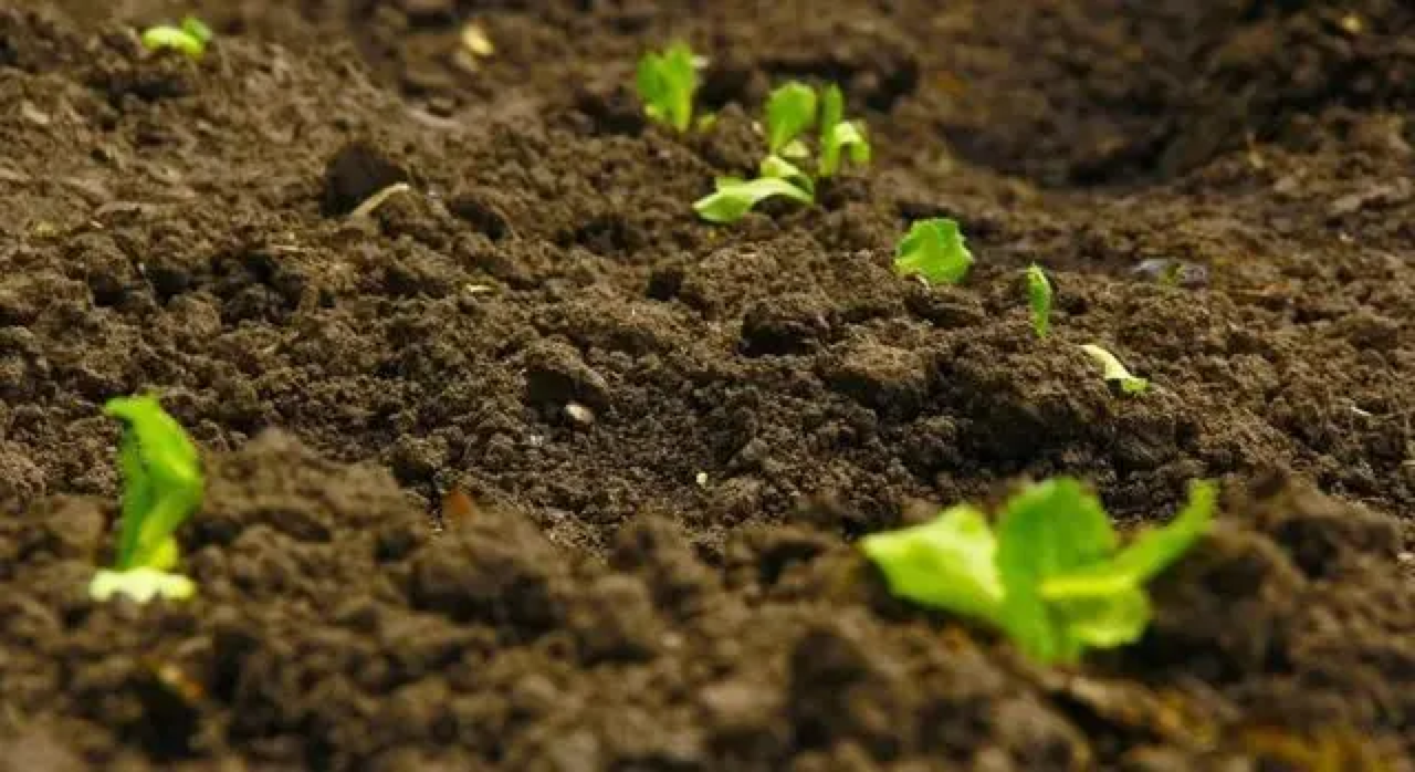 1688613554135891.png 1688613554135891.png